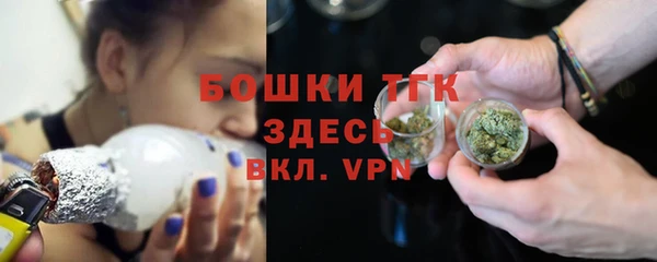 твердый Лиски