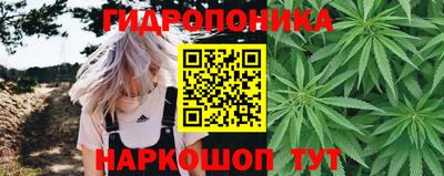 ALPHA-PVP Канаш