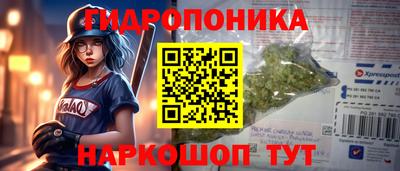 круглые Камышлов