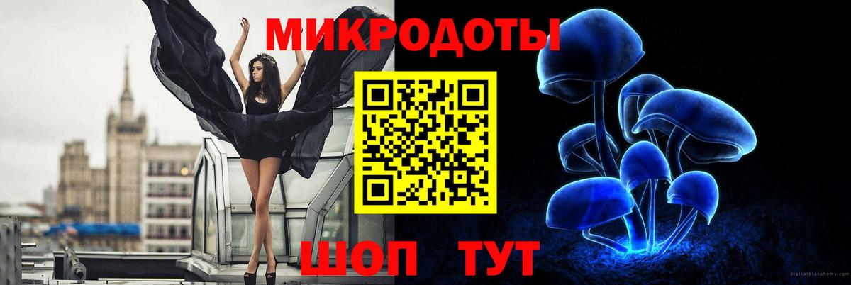 Псилоцибиновые грибы мицелий  Вход с VPN  купить наркотики цена  Красноперекопск 