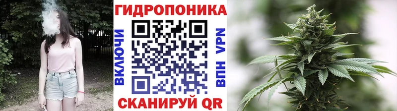 kraken ссылки Красноперекопск Бошки Шишки семена
